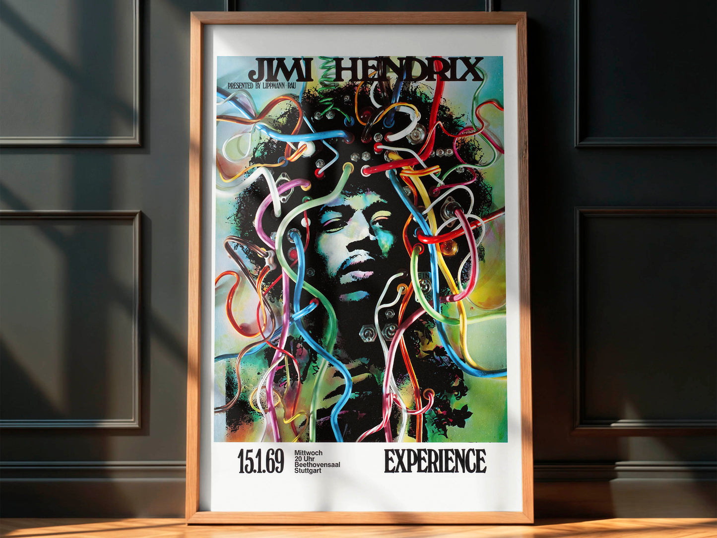 Jimi Hendrix Experience 1969 Concert Poster, Legendary!